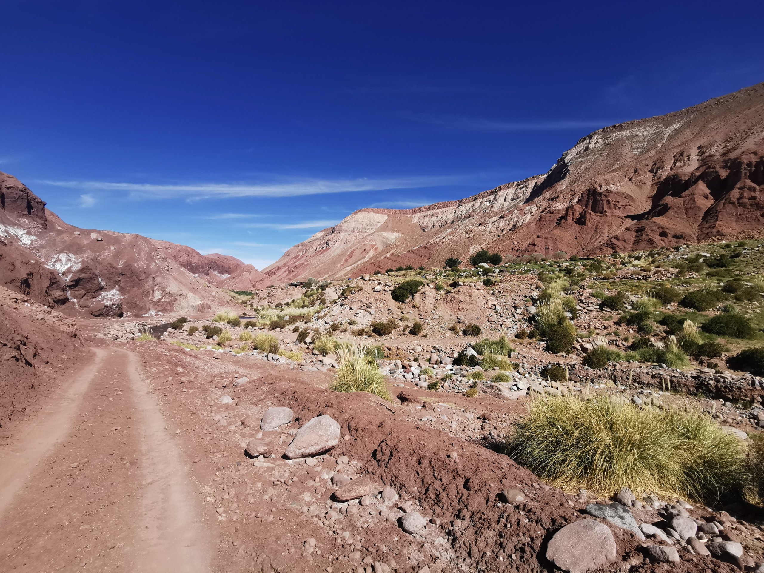 113 pymes del sector turismo fueron beneficiadas por el Comité Corfo Antofagasta