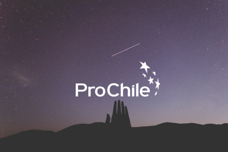 PROCHILE LANZARÁ NUEVAS INVERSIONES DE PROGRAMAS DE APOYO A PYMES EXPORTADORAS