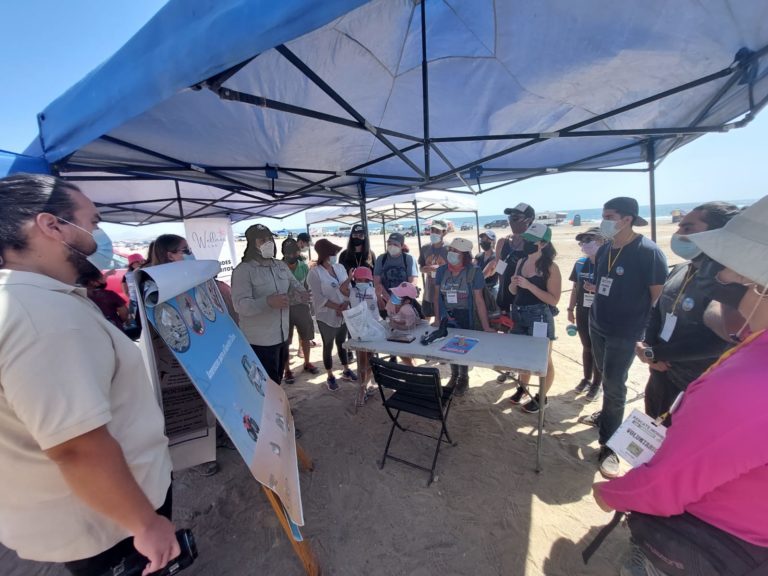 EXITOSO RETIRO DE BASURA EN LA PLAYA HORNITOS