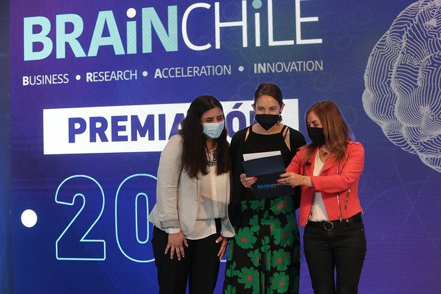 POSTULA AL PROGRAMA BRAIN CHILE