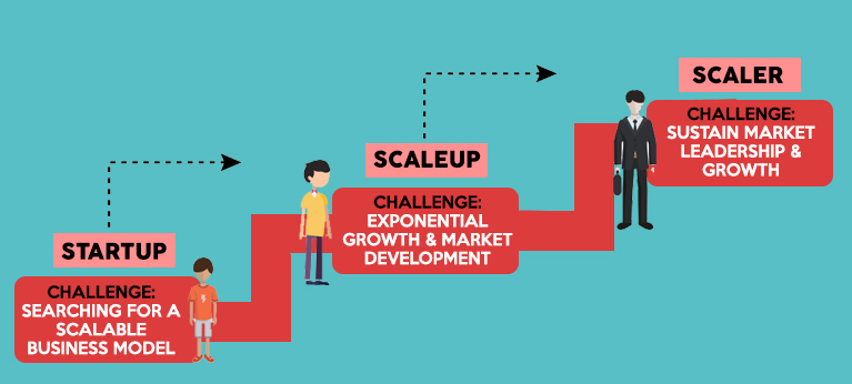 ¿QUÉ SON LAS SCALEUP?