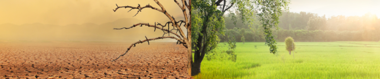 24 DE OCTUBRE: LAS NACIONES UNIDAS Y EL CAMBIO CLIMÁTICO