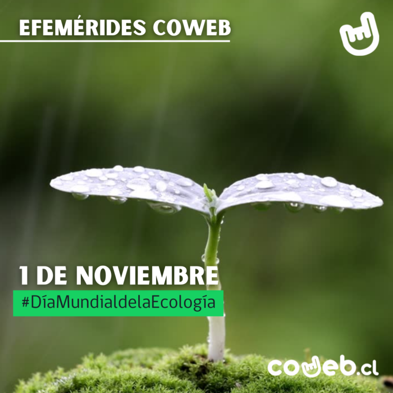 1 DE NOVIEMBRE: DÍA MUNDIAL DE LA ECOLOGÍA
