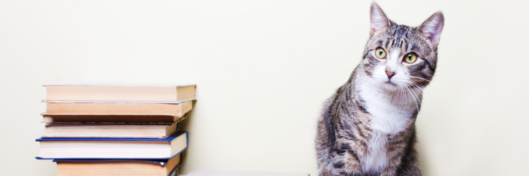 EL GATO QUE AMABA LOS LIBROS de Sosuke Natsukawa