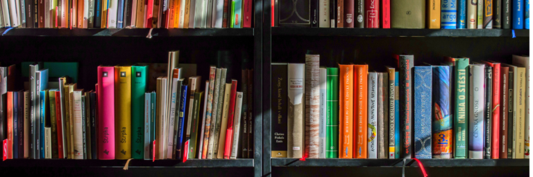LIBROS SOBRE EMPRENDIMIENTO Y LIDERAZGO PARA CONSEGUIR EL ÉXITO