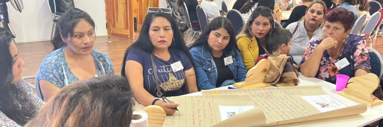SERNAMEG ABRE POSTULACIONES A LA VERSIÓN 2023 DEL PROGRAMA MUJERES JEFAS DE HOGAR
