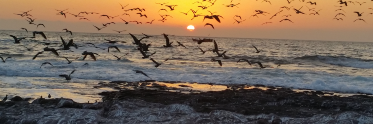 DESDE EL LUNES COMIENZAN MULTAS POR RUIDOS MOLESTOS EN PLAYAS DE ANTOFAGASTA