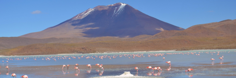 EN EL DÍA DE LOS HUMEDALES TE CONTAMOS CUÁLES HAY EN CHILE Y LA REGIÓN