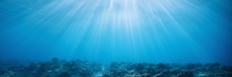 Día Mundial de los Océanos