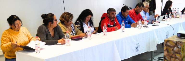 380 familias de Taltal contarán con electricidad
