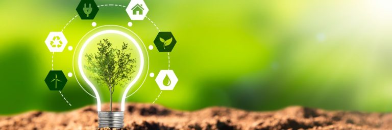 Seminario Vincula + Energía
