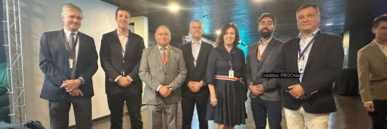 Corredor exportador de hidrógeno verde en Mejillones