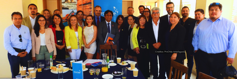 Balance anual de empresas regionales apoyadas por ProChile
