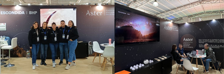 Aster